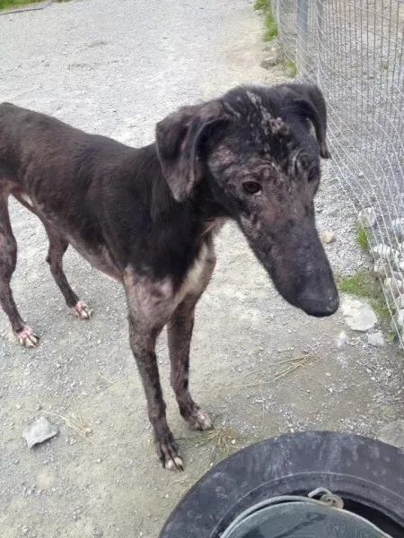 13501997 1263959866955043 3100097914385828926 n