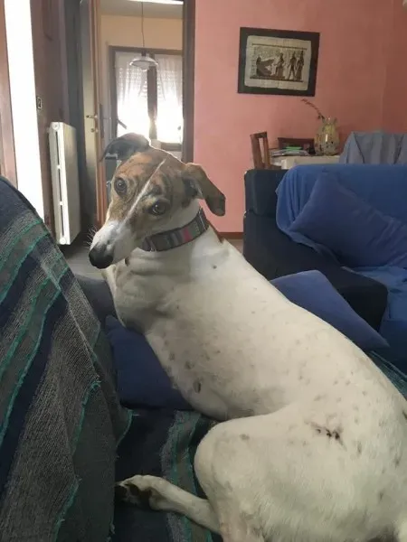 13507225 1630756307235017 8996632096522110282 n