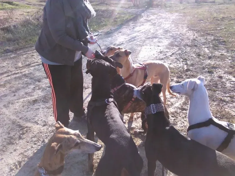 13508 895104673843425 6175164613328121032 n