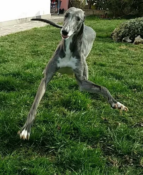 13512152 1724610947797591 7678444462382540034 n