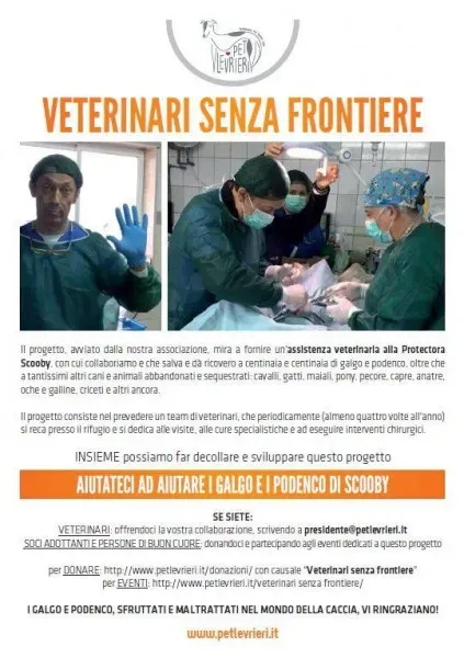 13512206 1058413890909132 7754173282089540302 n