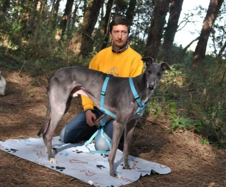 13516642 1724610301130989 242892567543703545 n