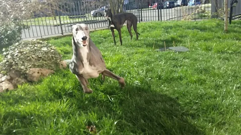 13517674 1724610907797595 943189727851858947 o