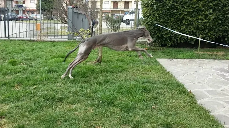 13522911 1724611627797523 7784060363056277550 o