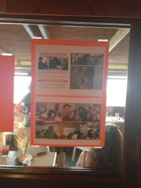 13529122 1058413300909191 4817459640733028526 n