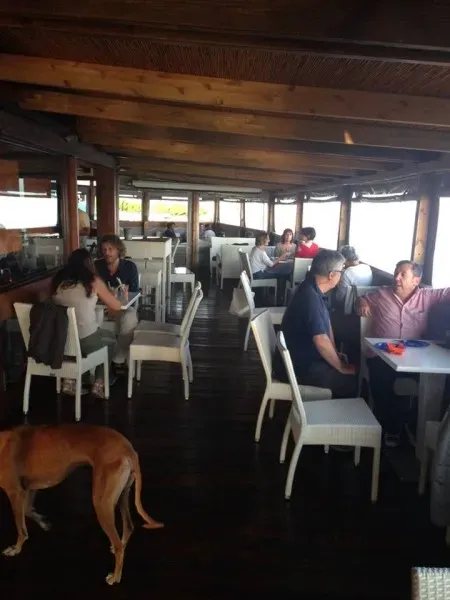 13533128 1058413874242467 3426670702222697354 n