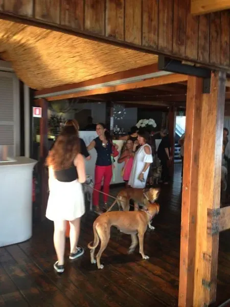 13533231 1058413814242473 7994815227828781765 n