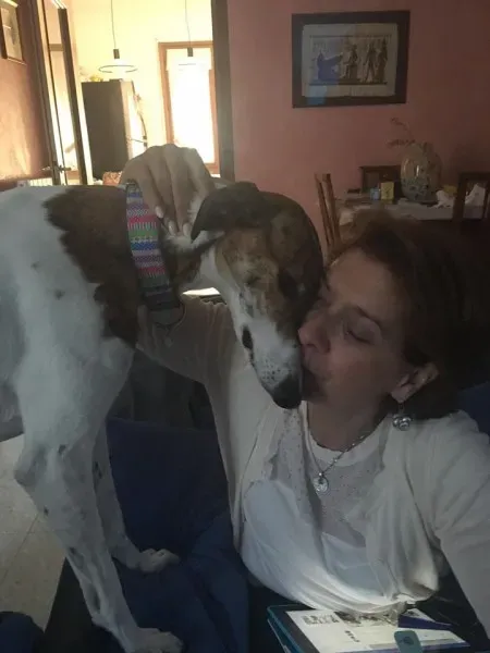 13537510 1630756370568344 183540326138011306 n