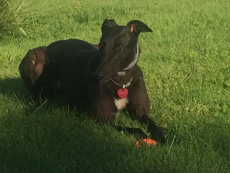 13557657 527033004164156 5798647643652294648 n