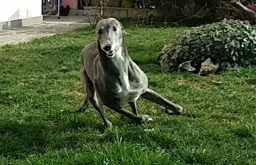 13567116 1724610987797587 5392682819865638457 n