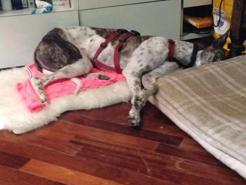 13579740 1073926032698999 968639952 o