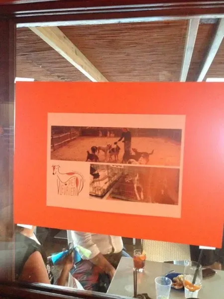 13606913 1058413274242527 6518614399390726538 n