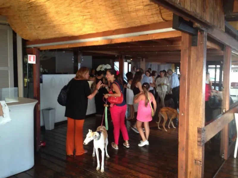 13606960 1058413590909162 8727242702512921717 n