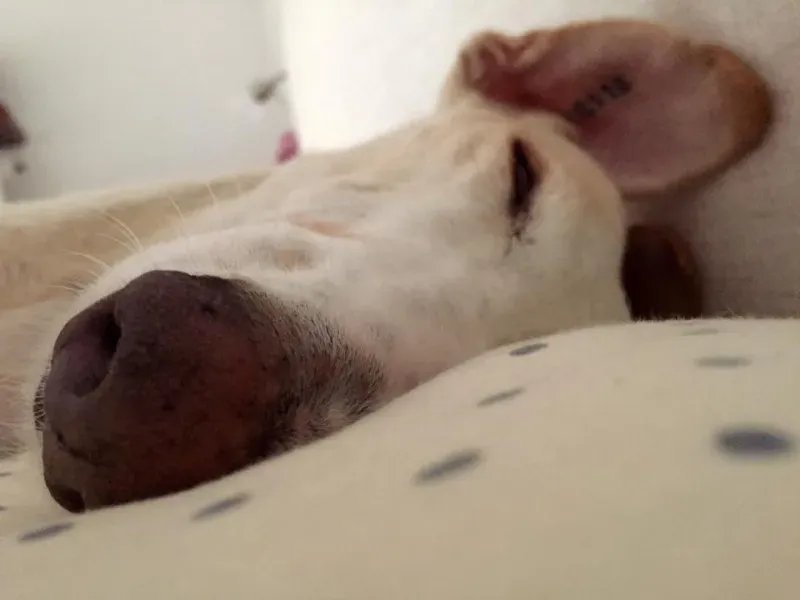 13625390 10209462507546904 6515148905390040218 n