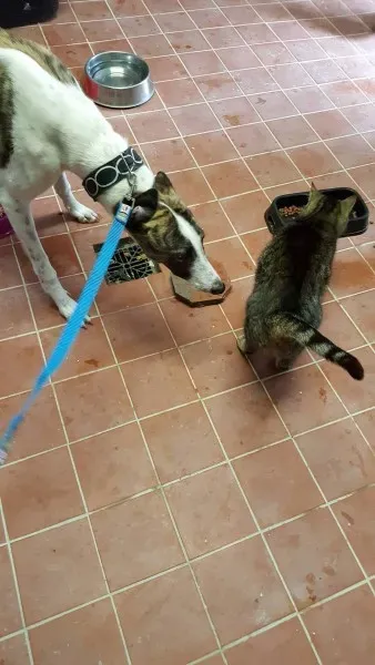 13633305 10208813715033760 1434058598 o