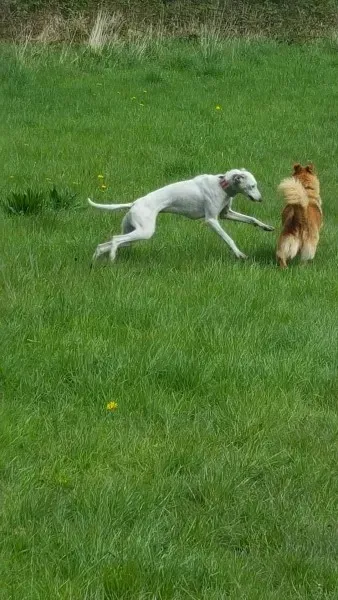 13633386 10208894790620599 1341268111 o