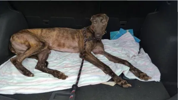 13639546 10208813582910457 2074488166 o e1470488145702