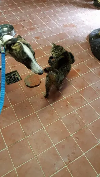 13646844 10208813715553773 890906427 o