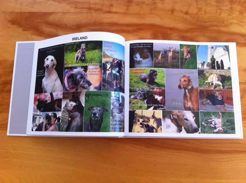 13653042 177215986029667 6318677223671722020 o