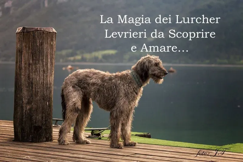 13667977 10206647755688256 890664905671250646 o