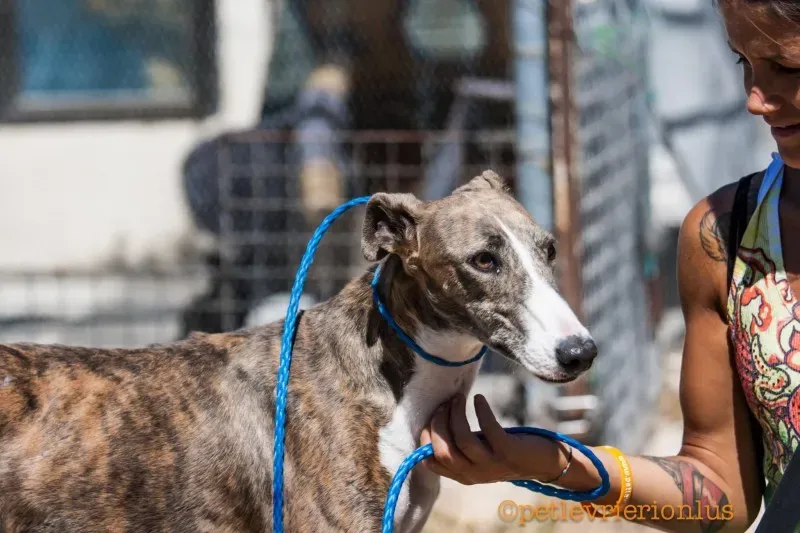 13668922 1069073623176492 4633935967792106037 o