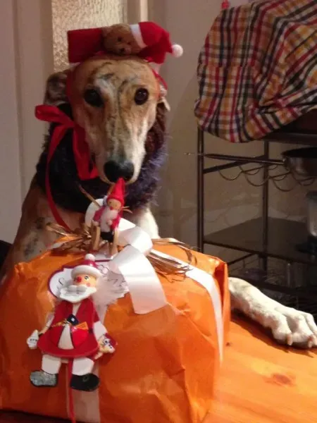 1366 1666922360221927 3261979499213214859 n