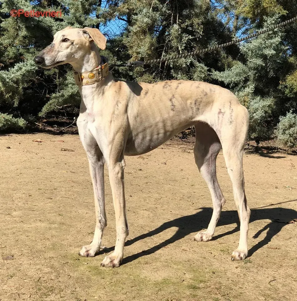 136722793 10158717314879693 803304666681618371 n