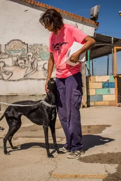 13680333 1069069773176877 5758872199402711989 o