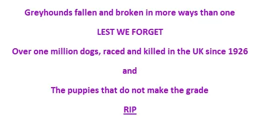 13680721 1064605163647618 7705835233707591610 n