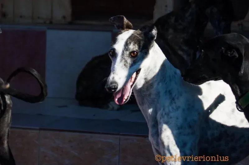 13682350 10208603801005138 317253904 o