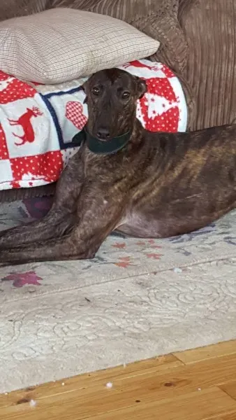 13682440 10208813596790804 1733875304 o