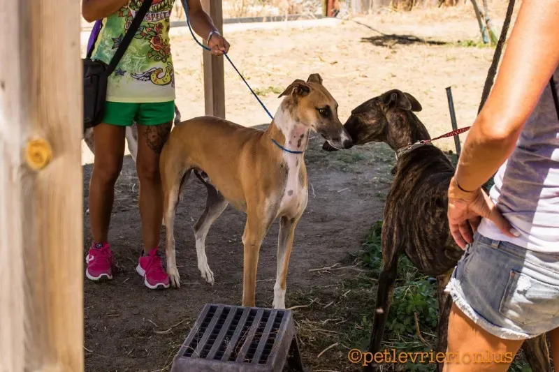 13691015 1069079879842533 4928763466935135352 o