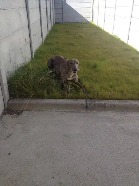 13694153 10153525503330194 1325562035 o