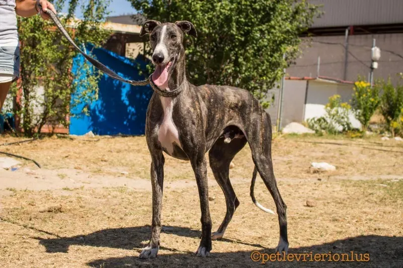 13698013 1069072666509921 7862063698033621318 o