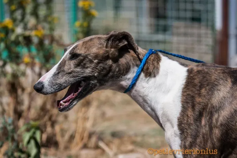 13698062 1069073546509833 4044939697429077940 o