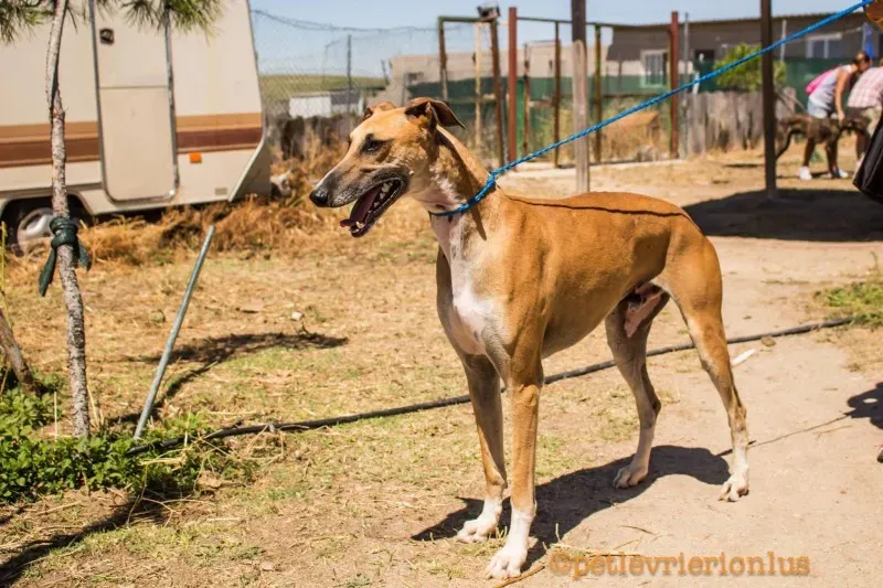 13698212 1069080036509184 2774984046332204020 o