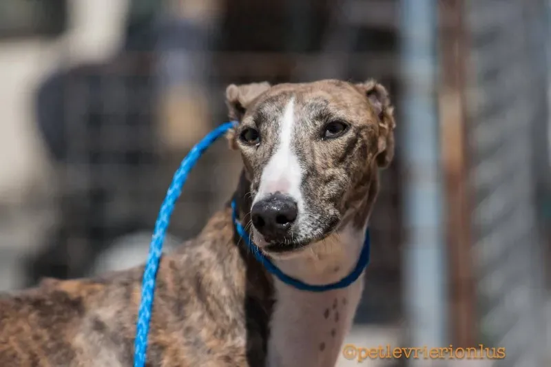 13698219 1069073796509808 8105710735568085360 o