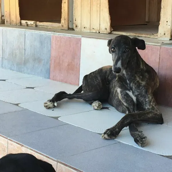 13700086 1068107053273149 7848947124822975772 n