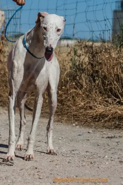 13701008 1069080686509119 8277187661425695631 o