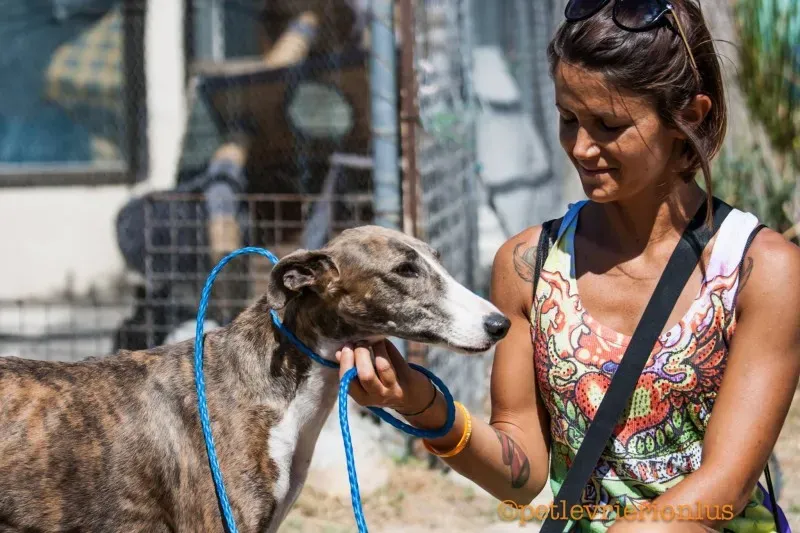 13701100 1069073646509823 7928773071266835400 o