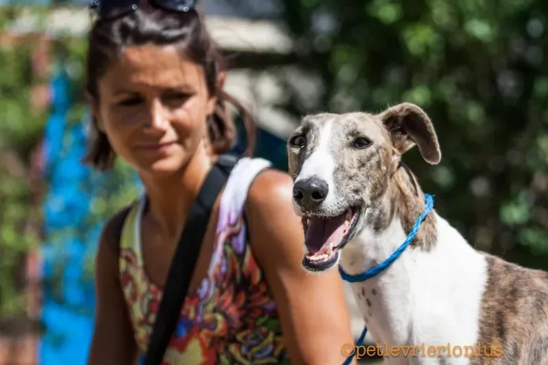 13701119 1069073806509807 9191026489638978179 o