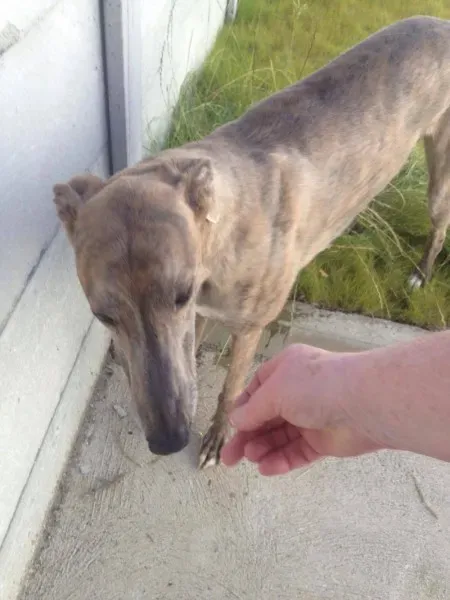 13702299 10153525502990194 1839438271 o