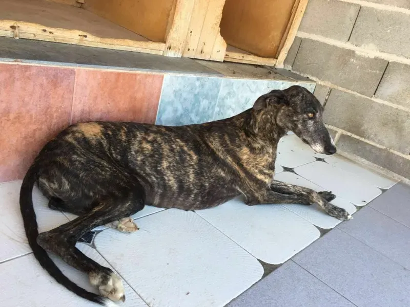 13707643 1068108709939650 5254125194059688508 n