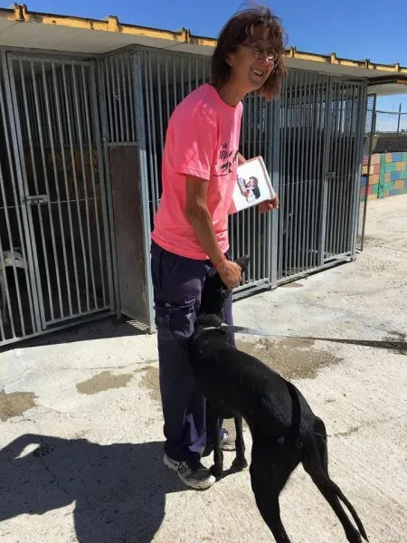 13707677 1068106776606510 4748530635732908707 n