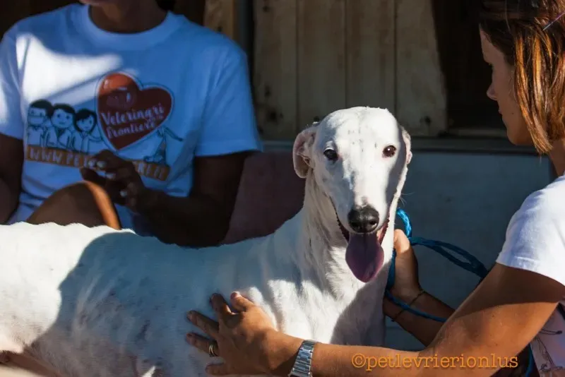 13708224 1069080786509109 6341733531595346052 o