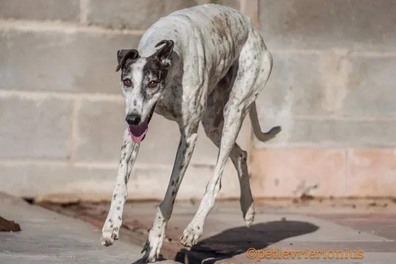 13709648 10208603801885160 1919730806 o