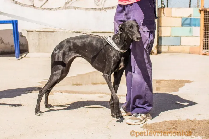 13710452 1069069769843544 1442662225222665547 o