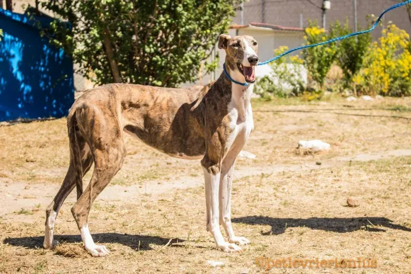 13710511 1069073606509827 6763588499391117342 o