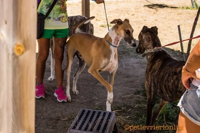 13717262 1069079849842536 786154576598589465 o