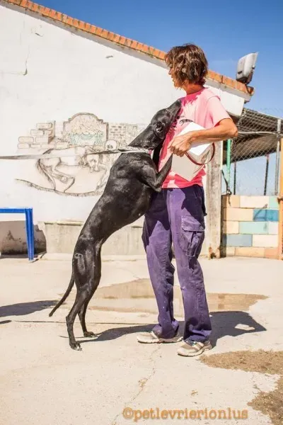 13717461 1069069709843550 1674905153810534877 o